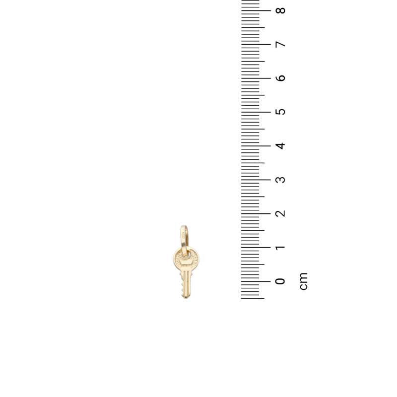 Gold Necklace (Chain with Key Pendant) 18KT - FKJNKL18KU1116