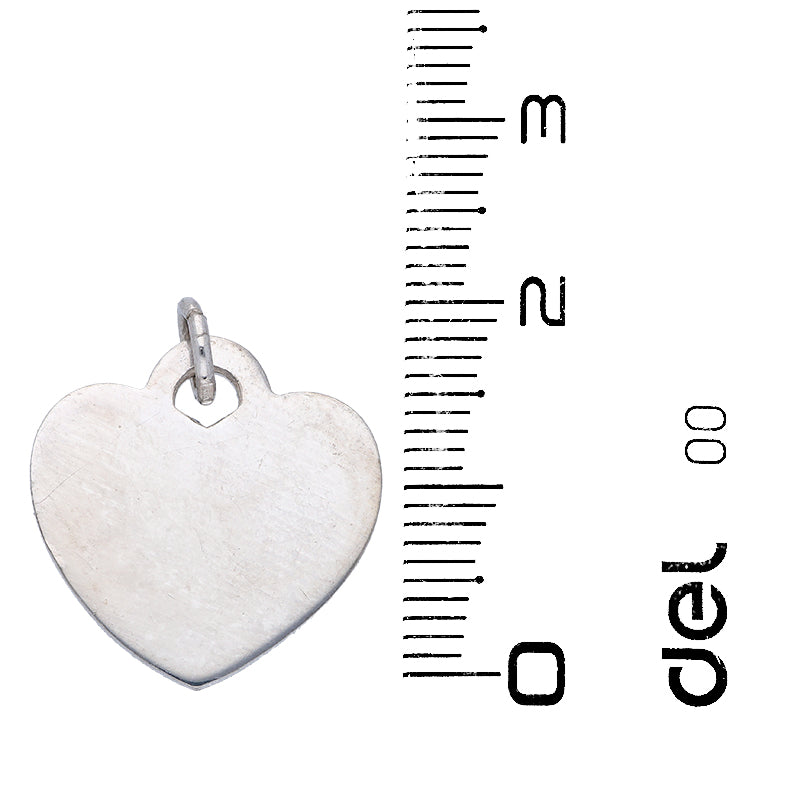 عقد من الفضة الإسترليني ٩٢٥ (سلسلة مع قلادة على شكل قلب) - FKJNKLSLU925